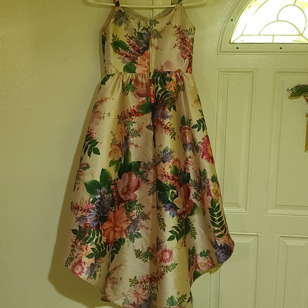 Dress - Picture 6 of 7